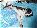TiaAsleepOnMyBed19-10-04_ 10WksOld